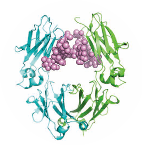 各種安定同位体試薬
